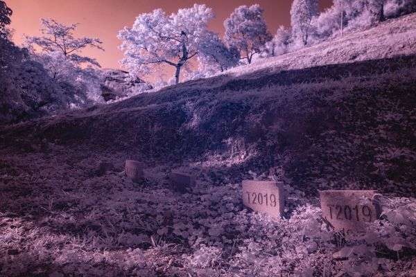 © Hoi Kin Fung - Image from the The young lad says: Nothing happened photography project