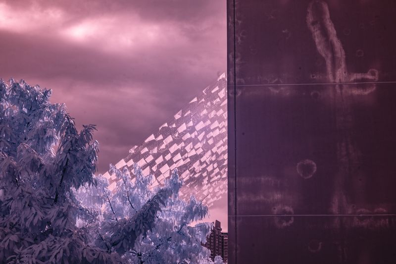 © Hoi Kin Fung - Image from the The young lad says: Nothing happened photography project