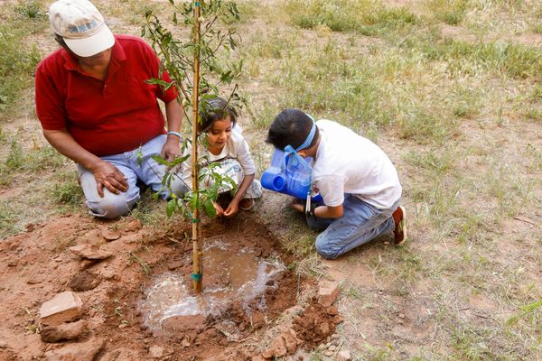© Julien McRoberts - Planting ceremony - elders pass on tradition to the grandchildren. Navajo