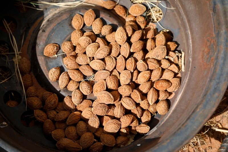 © Julien McRoberts - Peach pits. Canyon de Chelly, Navajo Nation.
