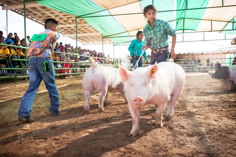 © Julien McRoberts - Image from the A Place of Joy - Navajo Nation Fair photography project