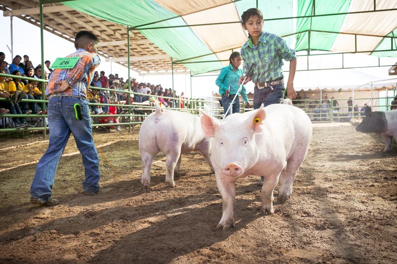 © Julien McRoberts - Image from the A Place of Joy - Navajo Nation Fair photography project