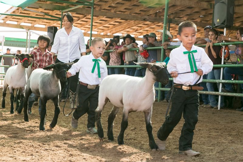 © Julien McRoberts - Image from the A Place of Joy - Navajo Nation Fair photography project