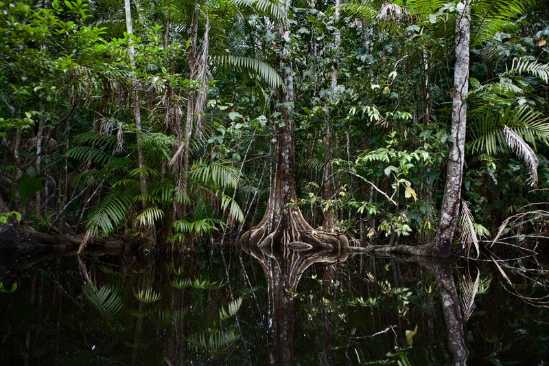© Alvaro Laiz - Image from the Wonderland, the strange inhabitants of Delta Amacuro photography project