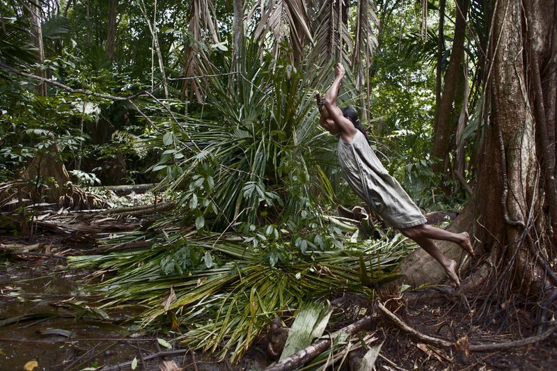 © Alvaro Laiz - A Tidawena jumps over a puddle held to a vine in the deep of the Orinoco´s swamp forest .