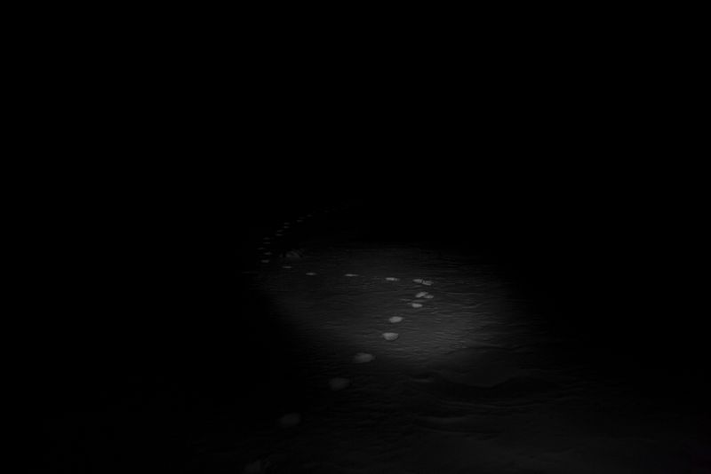 © Alvaro Laiz - Fresh track of an adult tiger, approximately 3 years old, on Bikin river.