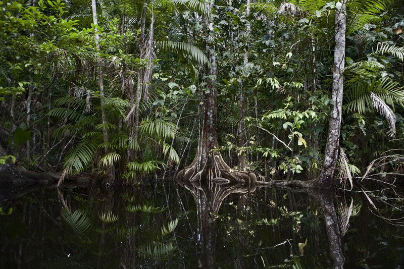 © Alvaro Laiz - Image from the Wonderland, the strange inhabitants of Delta Amacuro photography project