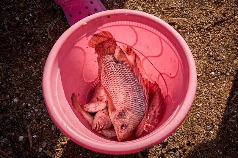 © Julia Gunther - Image from the No Sex For Fish photography project