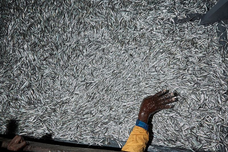 © Julia Gunther - Image from the Fish For Sex photography project