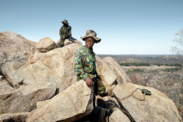 © Julia Gunther - Black Mambas Nkateko & Happy on hill top, Balule Nature Reserve, South Africa, 2015
