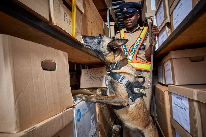 © Julia Gunther - Image from the Sniffing Out Wildlife Crime With Malawi's First Detection Dog Unit photography project