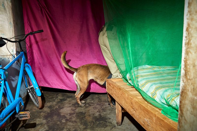 © Julia Gunther - Image from the Sniffing Out Wildlife Crime With Malawi's First Detection Dog Unit photography project