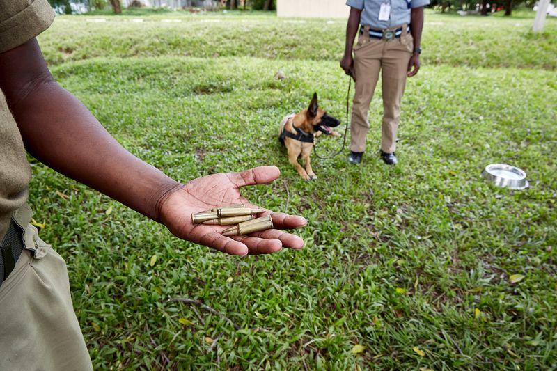© Julia Gunther - Image from the Sniffing Out Wildlife Crime With Malawi's First Detection Dog Unit photography project