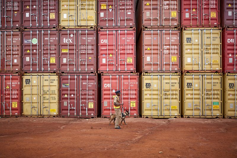 © Julia Gunther - Image from the Sniffing Out Wildlife Crime With Malawi's First Detection Dog Unit photography project