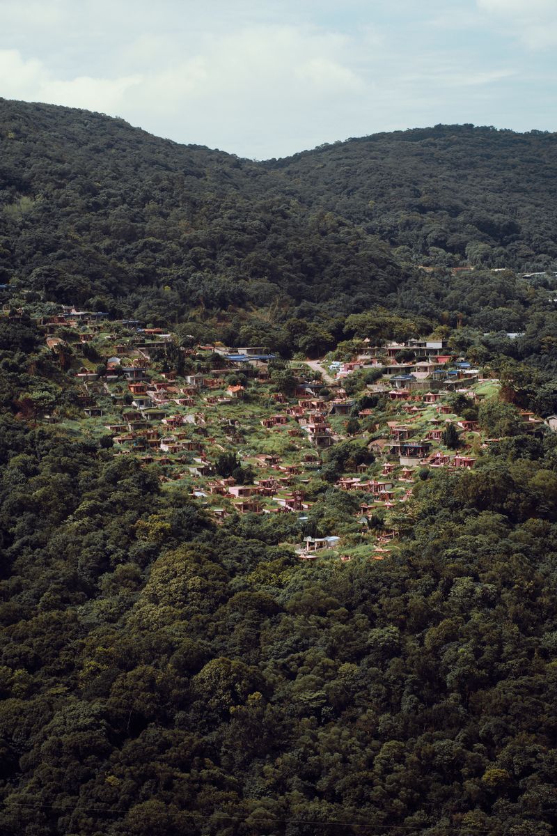 © Dragan Saric - Graves