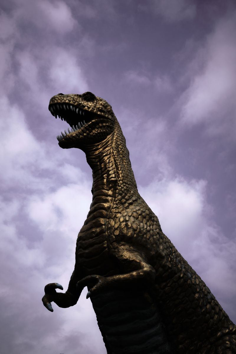 © Dragan Saric - White Terror.