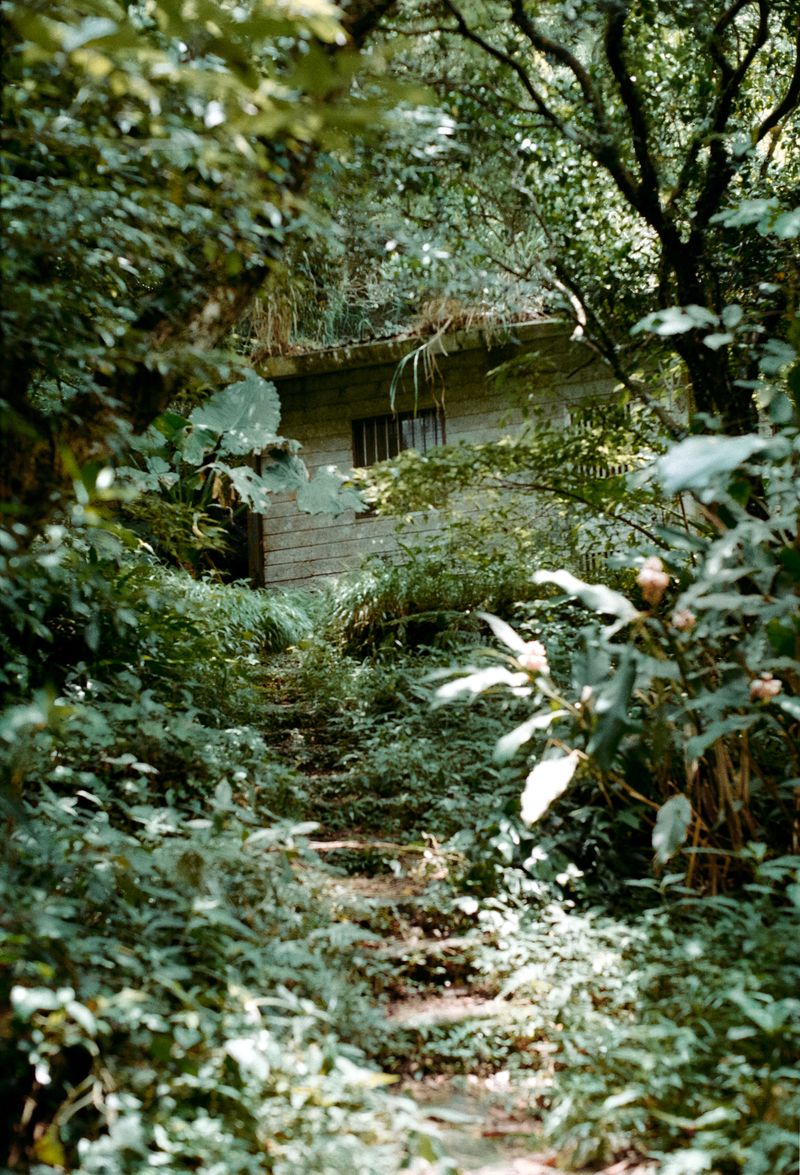 © Dragan Saric - The Taiwan and Yugoslavia are the past are physically gone, but people still carry them.