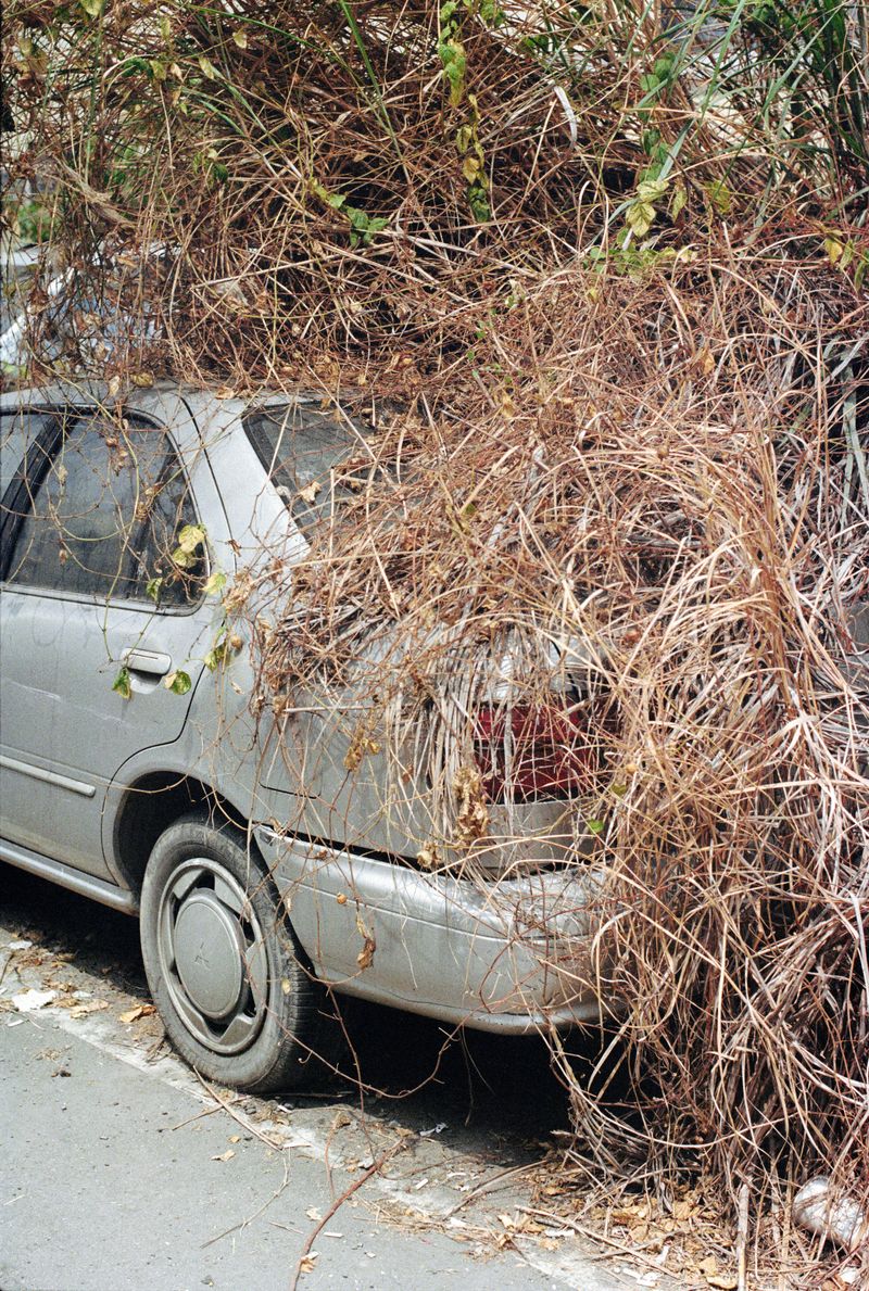 © Dragan Saric - Fear of losing history, makes memory hauntological.