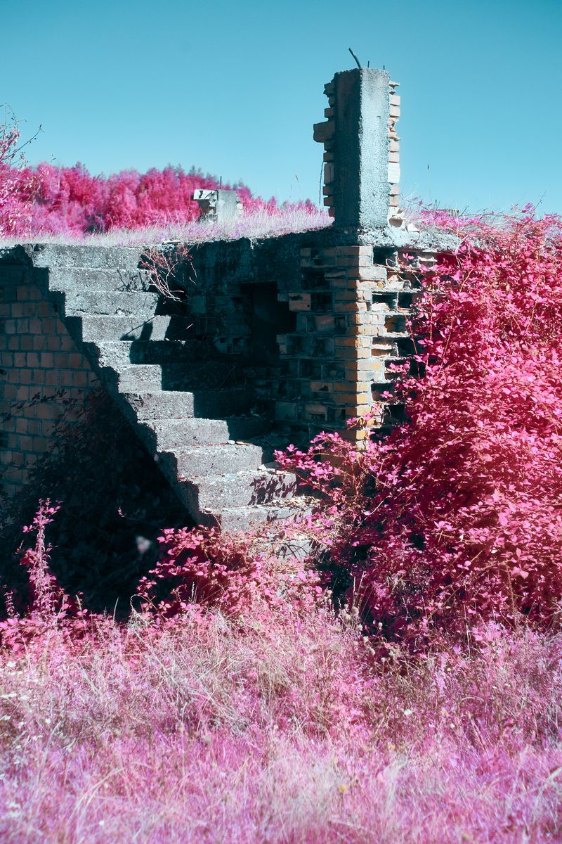 © Dragan Saric - Image from the Fear Not, for you have Sons in Europe photography project