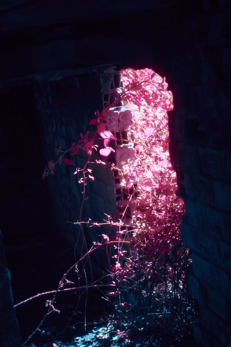 © Dragan Saric - Image from the Fear Not, for you have Sons in Europe photography project