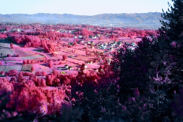 © Dragan Saric - Image from the Fear Not, for you have Sons in Europe photography project