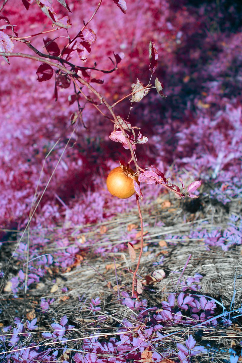 © Dragan Saric - Image from the Fear Not, for you have Sons in Europe photography project