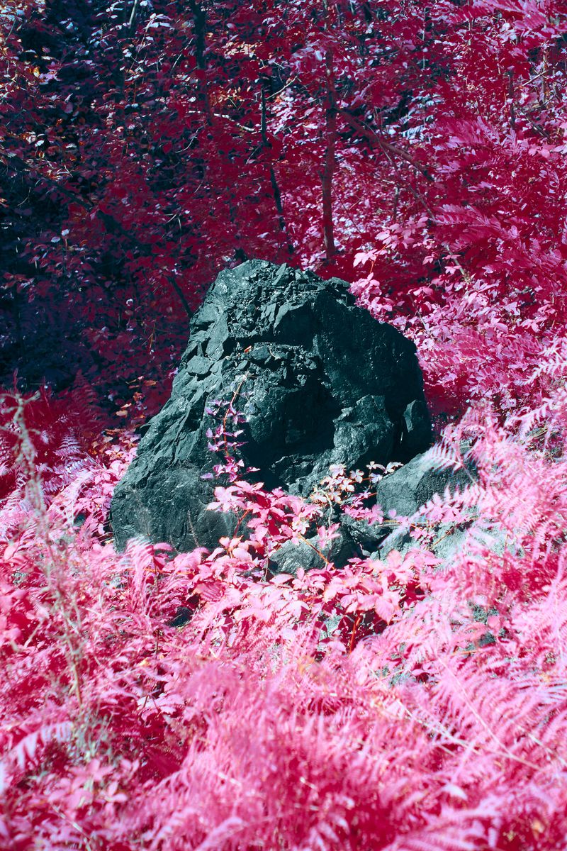 © Dragan Saric - Image from the Fear Not, for you have Sons in Europe photography project