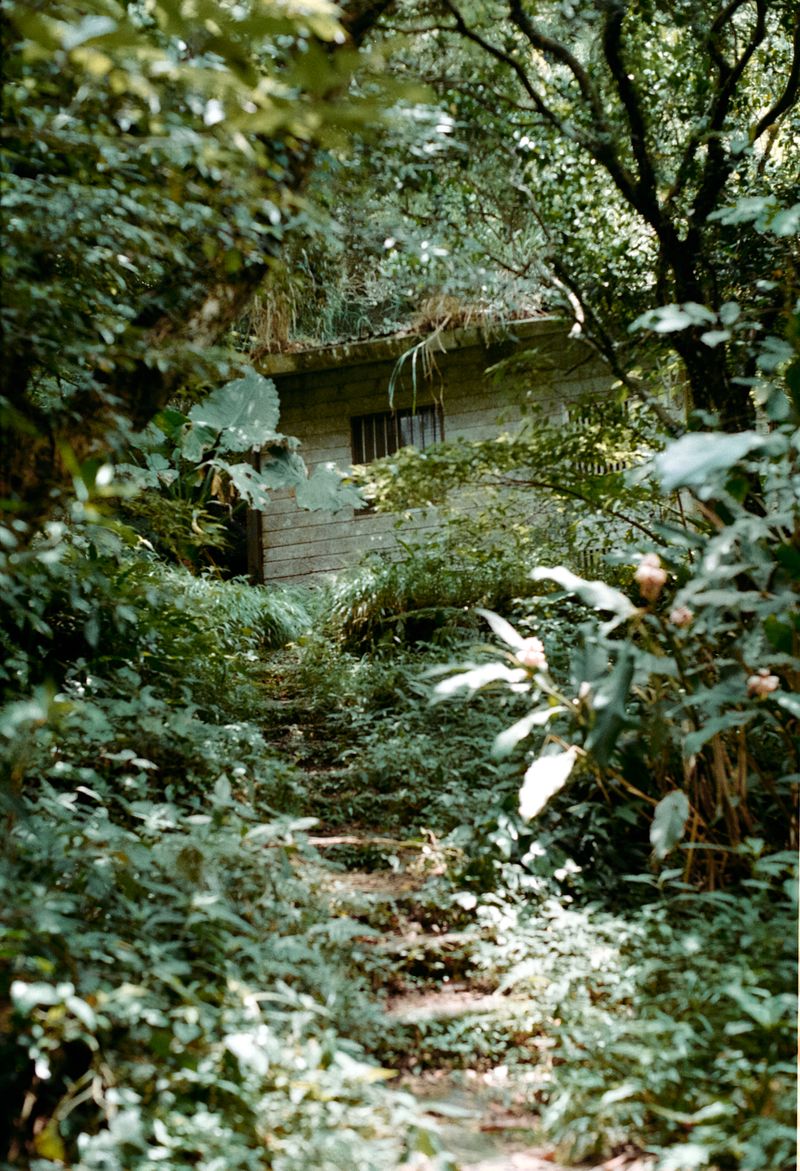 © Dragan Saric - Image from the Tomorrow Hotel photography project