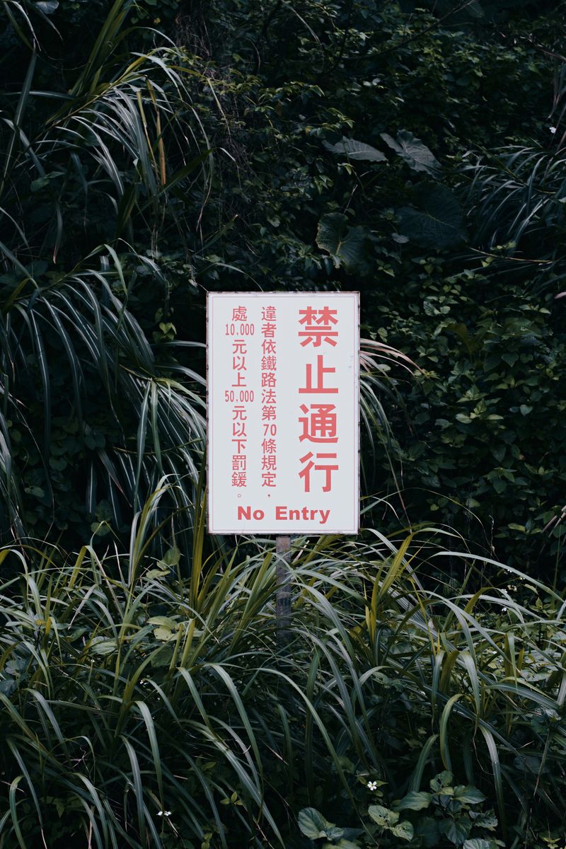 © Dragan Saric - Image from the Tomorrow Hotel photography project