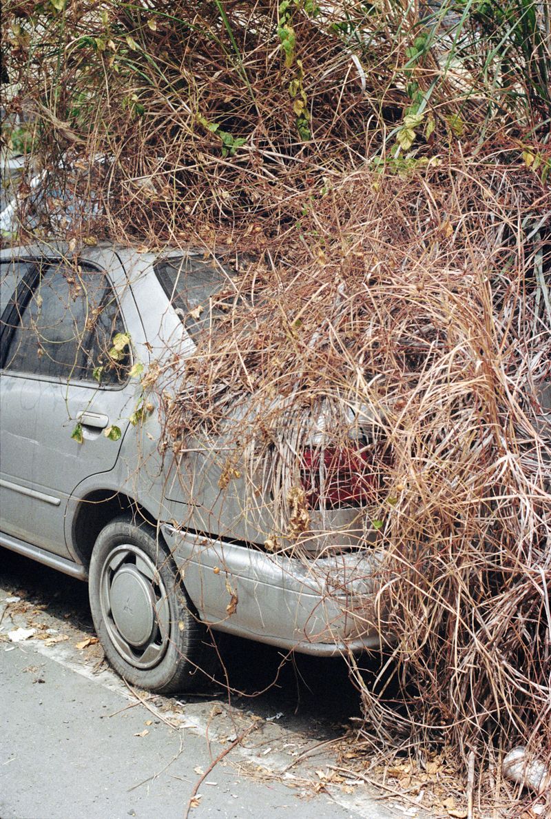 © Dragan Saric - Image from the Tomorrow Hotel photography project