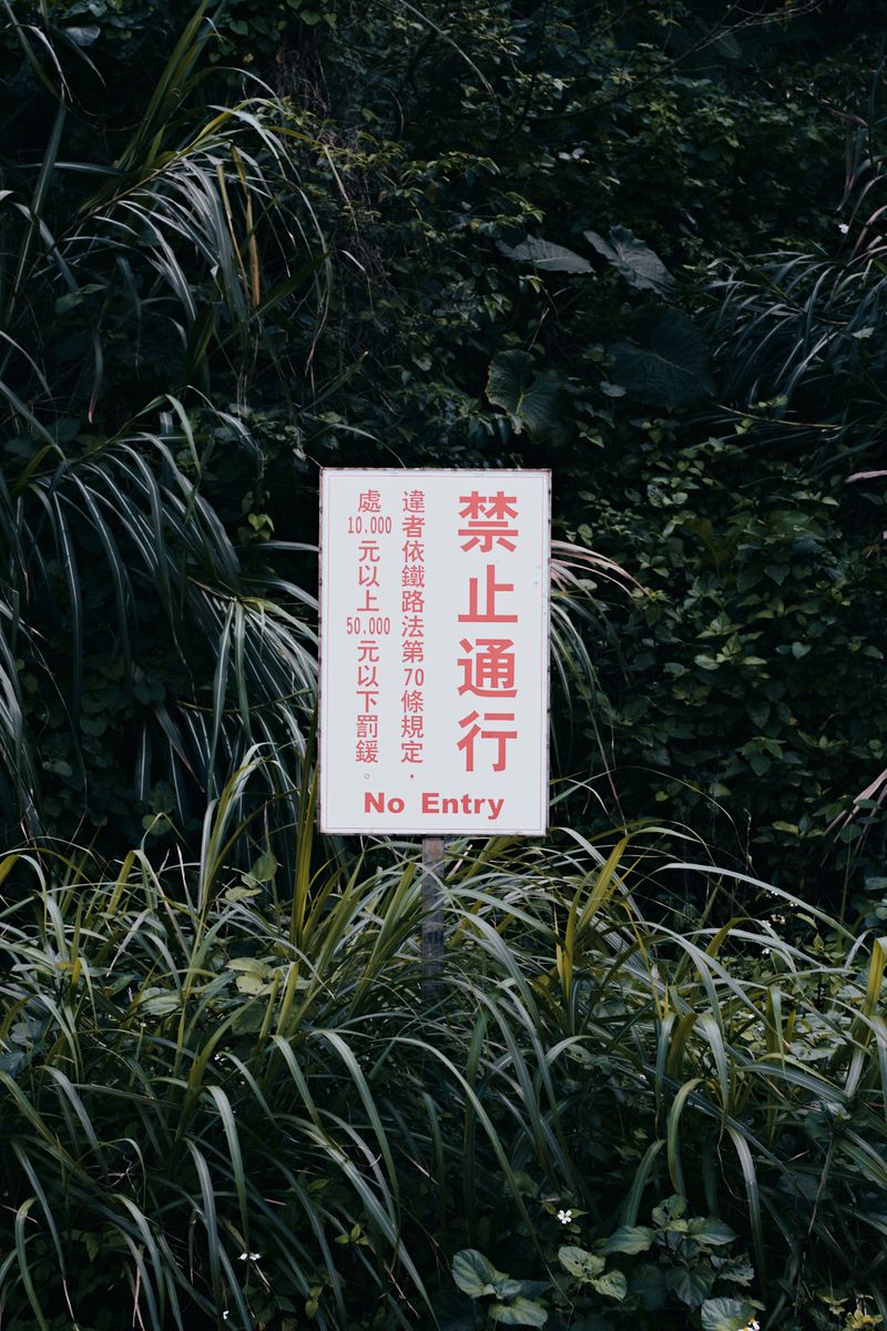 © Dragan Saric - Image from the Tomorrow Hotel photography project