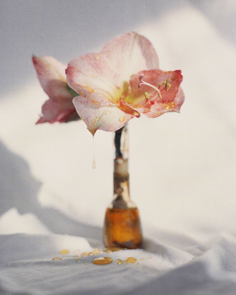 © Aleksandra Szajnecka - Image from the Baby Witch photography project