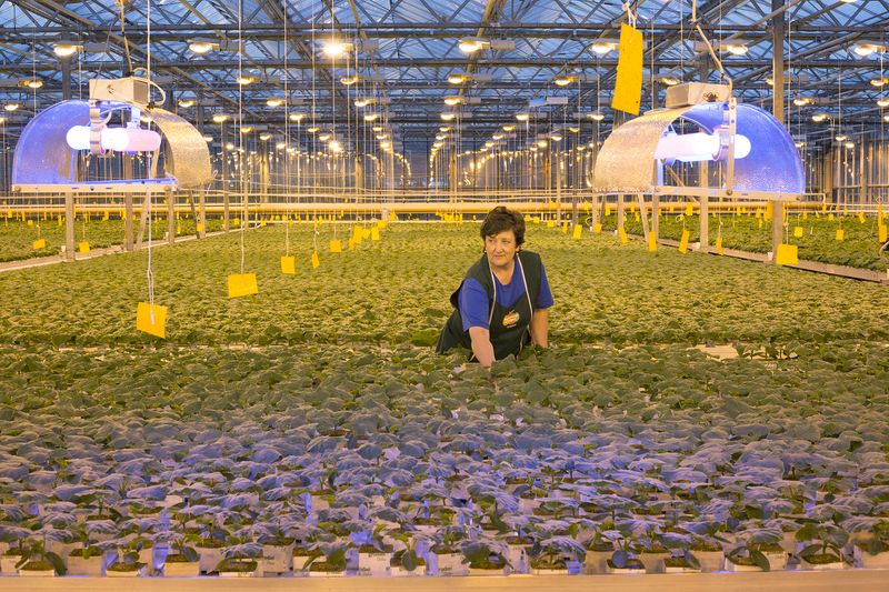 © Maria Babikova - Image from the Systems Of Order photography project