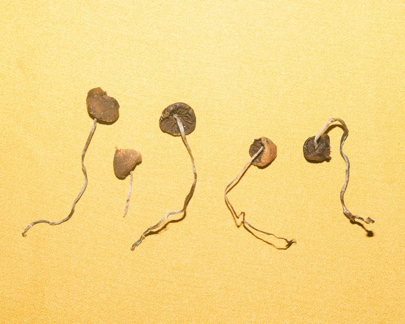 © Juliane Jensen - Image from the EMMA NEXUS photography project