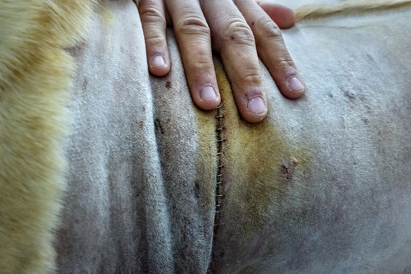 © ELISA MARIOTTI - Image from the A letter from home photography project