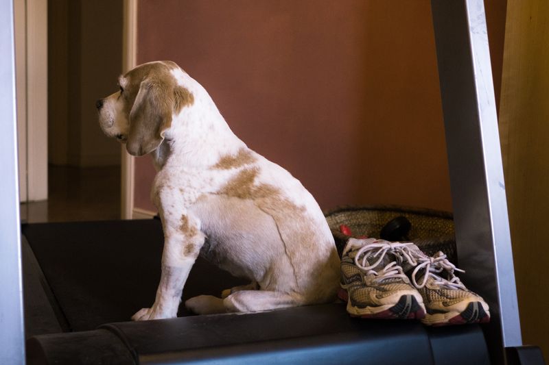© ELISA MARIOTTI - Image from the PER AMORE, SOLO PER AMORE photography project