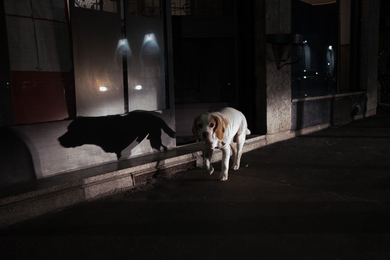 © ELISA MARIOTTI - Image from the PER AMORE, SOLO PER AMORE photography project