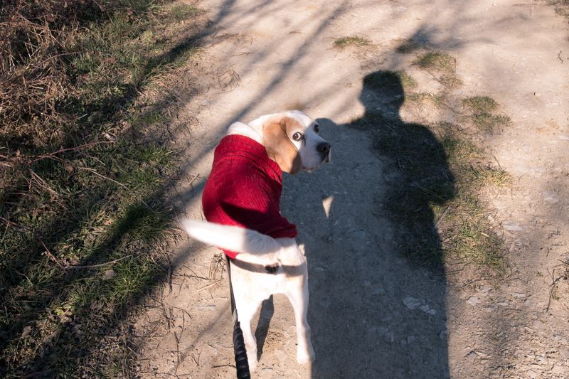 © ELISA MARIOTTI - Image from the PER AMORE, SOLO PER AMORE photography project