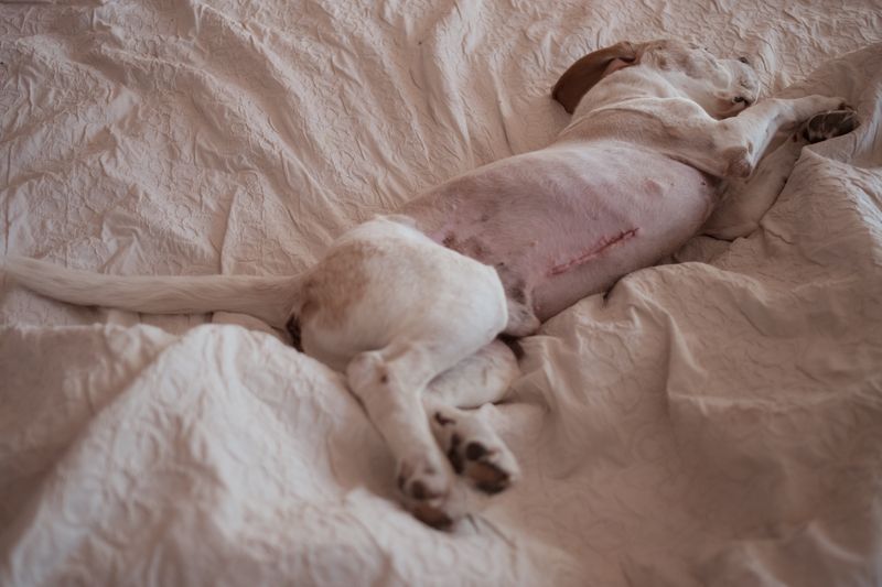 © ELISA MARIOTTI - Image from the PER AMORE, SOLO PER AMORE photography project