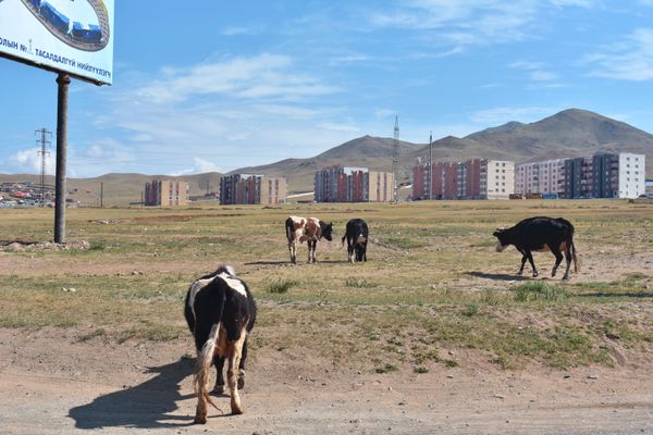 © Avery Norman - Image from the Mongolian Beauty photography project