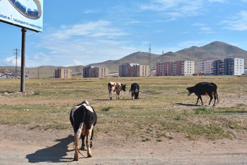 © Avery Norman - Image from the Mongolian Beauty photography project