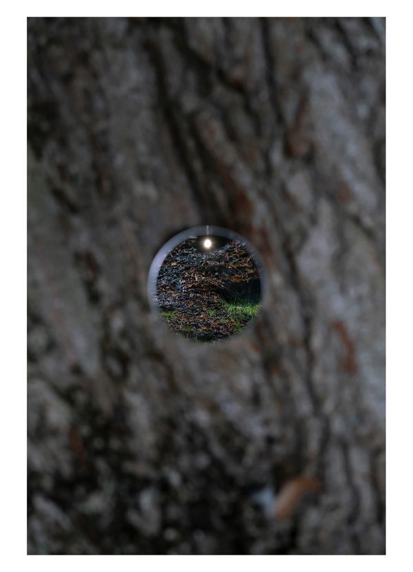 © Alejandra Carles-Tolra - Image from the Welcome back, this is a place for quiet reflection photography project