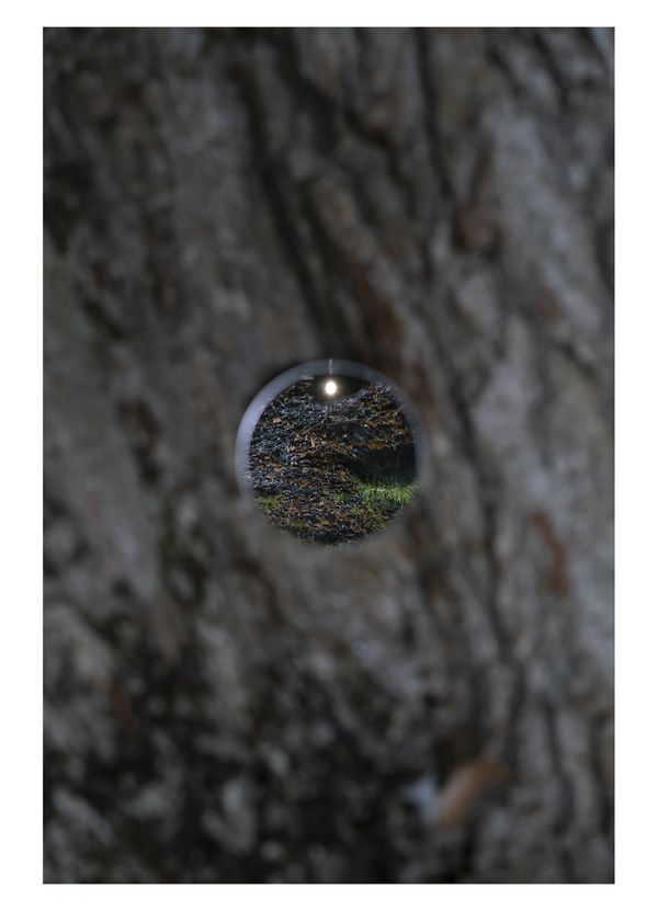 © Alejandra Carles-Tolra - Image from the Welcome back, this is a place for quiet reflection photography project