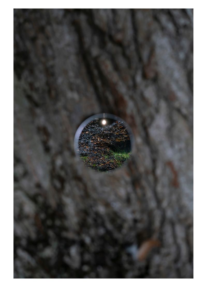 © Alejandra Carles-Tolra - Image from the Welcome back, this is a place for quiet reflection photography project