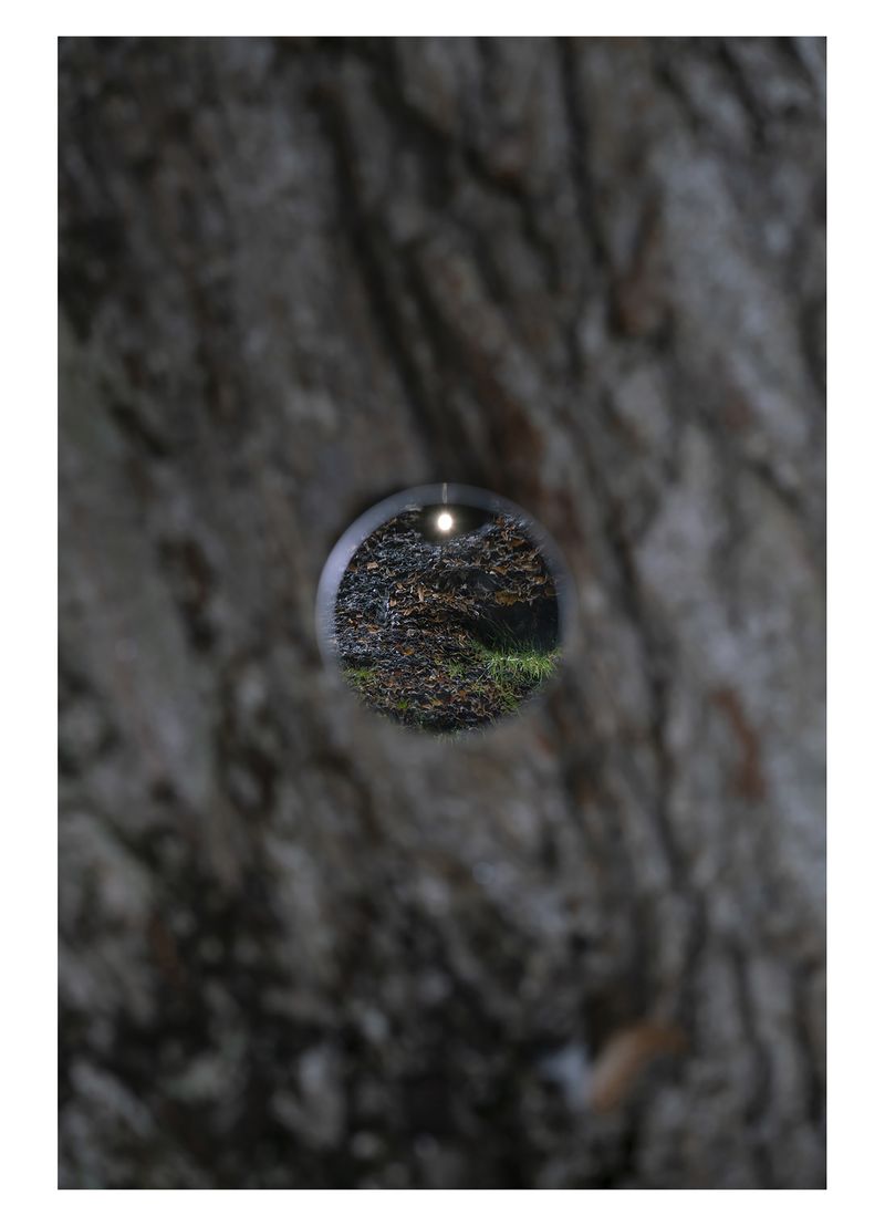 © Alejandra Carles-Tolra - Image from the Welcome back, this is a place for quiet reflection photography project