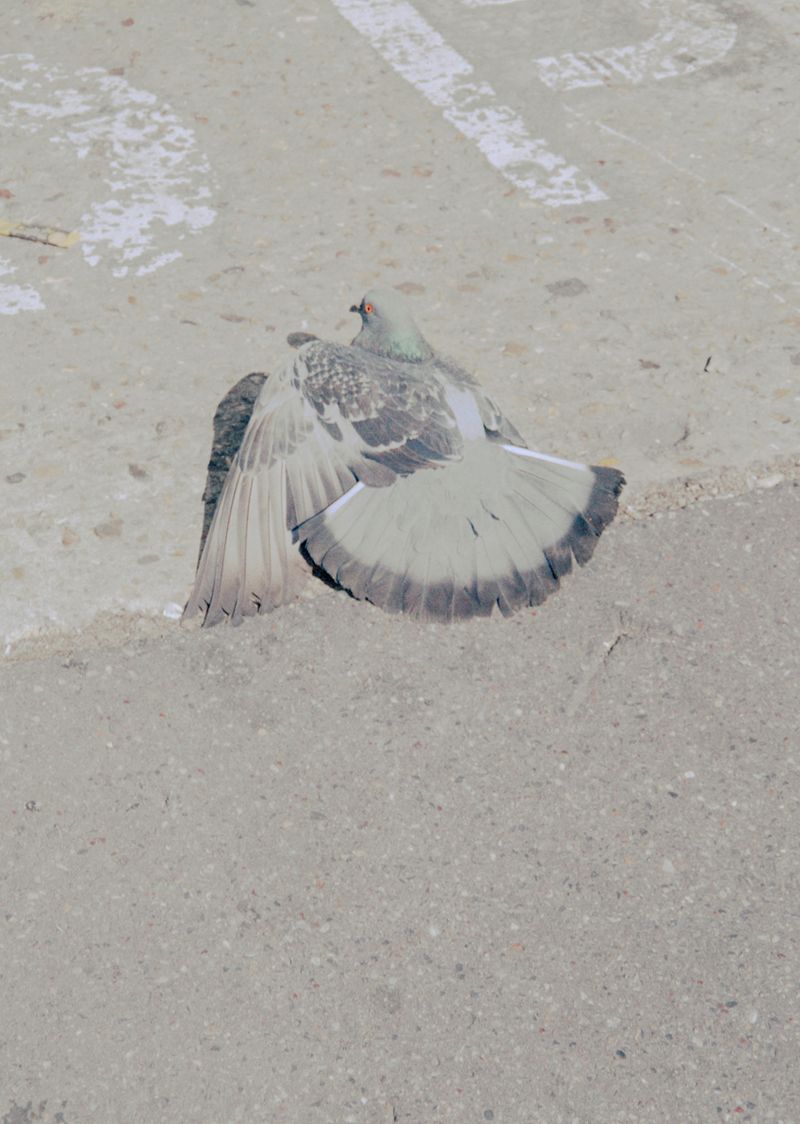 © Thomas Gauthier - Image from the Journée ordinaire photography project