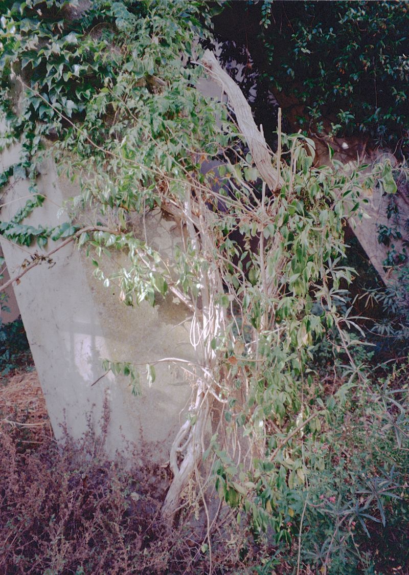 © Thomas Gauthier - Image from the Journée ordinaire photography project