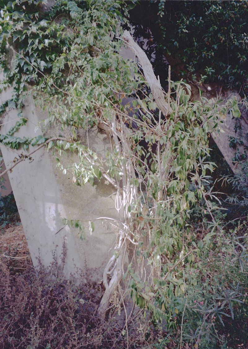 © Thomas Gauthier - Image from the Journée ordinaire photography project
