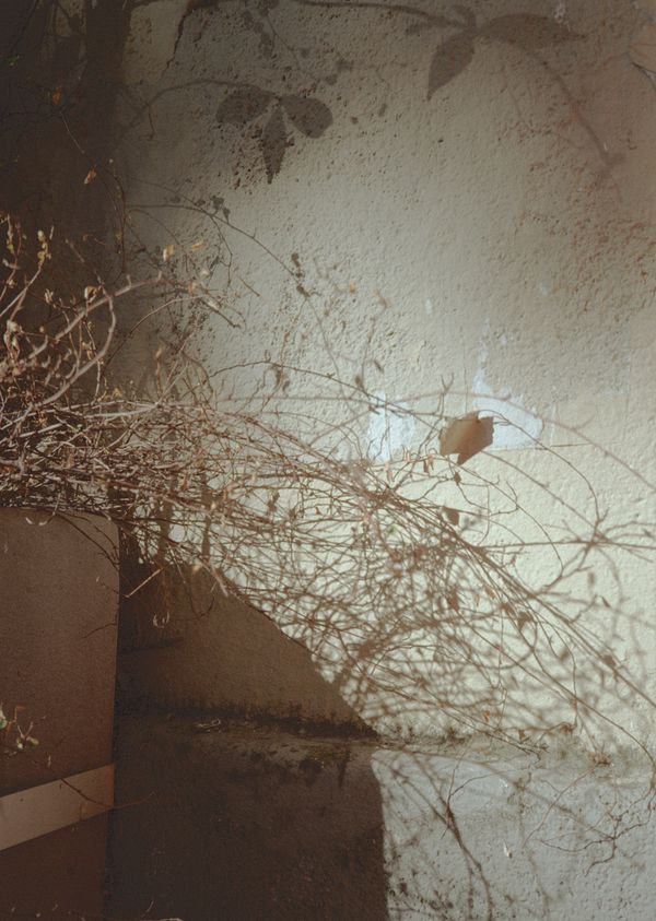 © Thomas Gauthier - Image from the Journée ordinaire photography project