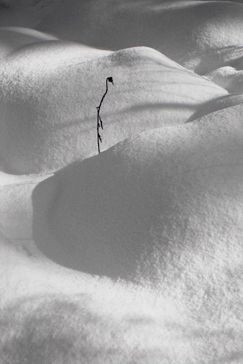 © Thomas Gauthier - Image from the Kootenays photography project